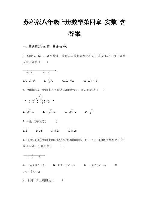 苏科版八年级上册数学第四章 实数 含答案