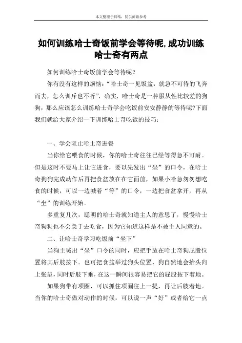 如何训练哈士奇饭前学会等待呢,成功训练哈士奇有两点