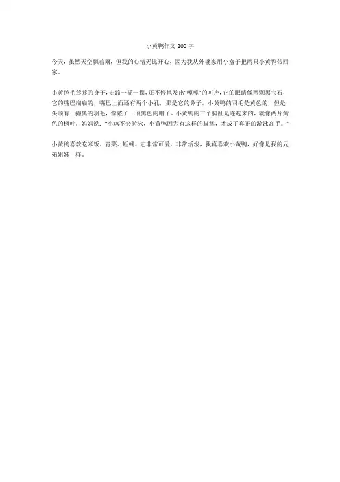 小黄鸭作文200字完美版