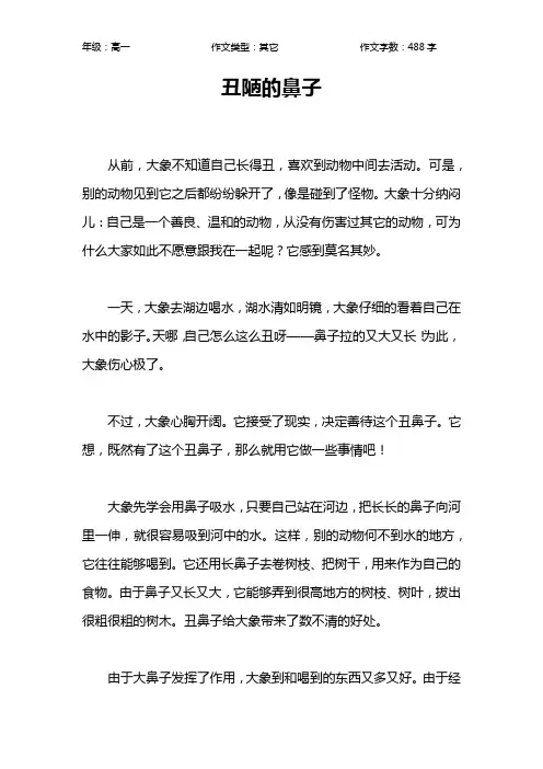 丑陋的鼻子作文【高中高一500字】