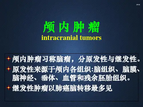 脑肿瘤脑血管  ppt课件
