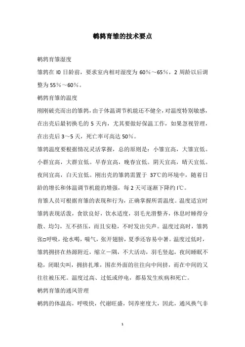 鹌鹑育雏的技术要点