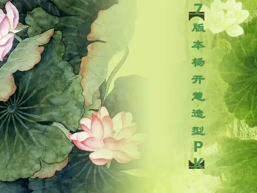 7版本杨开慧造型PKPPT资料16页