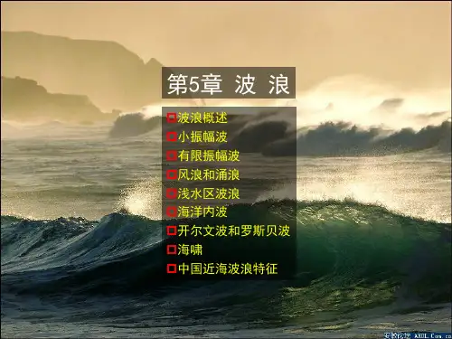第5章波浪