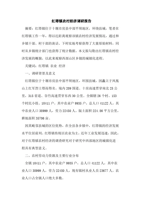 红塔镇农村经济调研报告