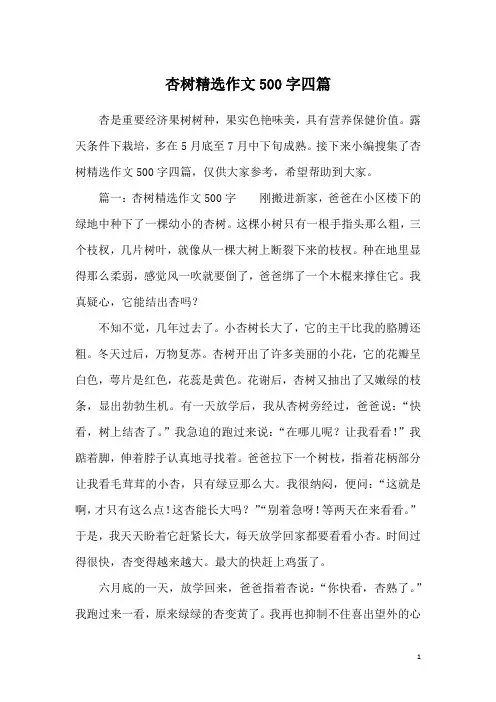杏树精选作文500字四篇