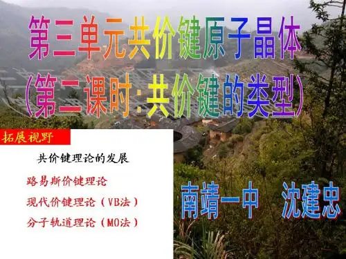 共价键的类型2