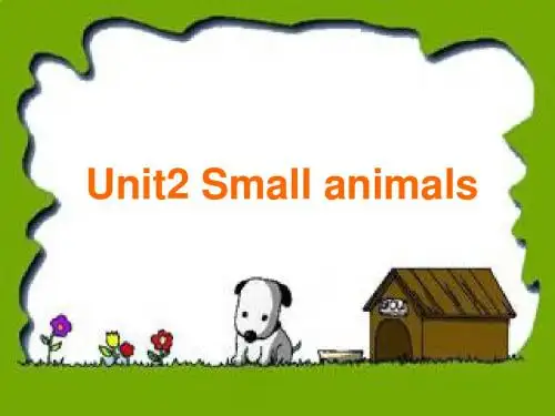 U2_Small_animals