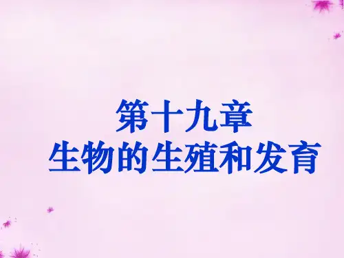 八年级生物上册 第十九章 第一节 人的生殖和发育课件 北师大版