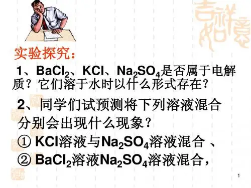 离子反应及其发生的条件