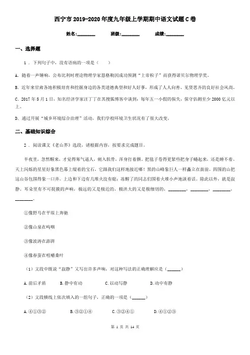 西宁市2019-2020年度九年级上学期期中语文试题C卷