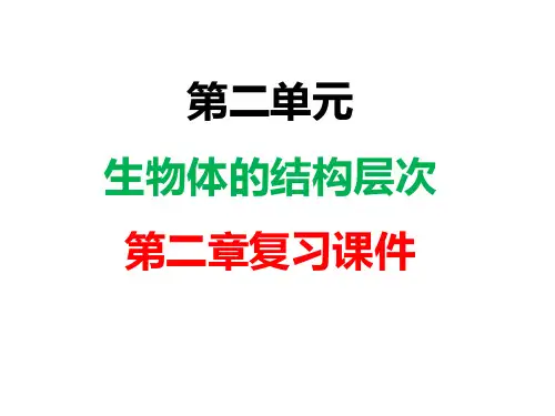 人教版七年级生物上册第二单元第二章细胞怎样构成生物体