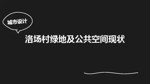 (精品)城市设计:洛场村绿地及公共空间现状