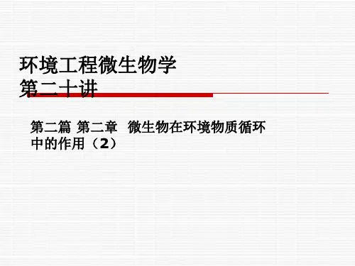 硫循环磷循环铁锰循环(20)页PPT文档