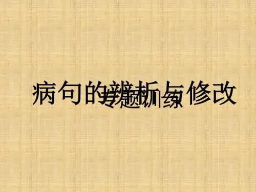 中考语文复习专题训练病句的辨析与修改ppt课件