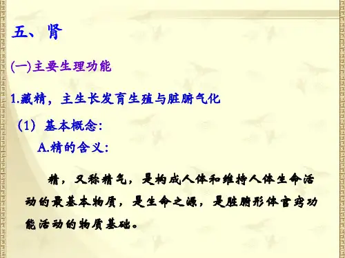 (一)主要生理功能.