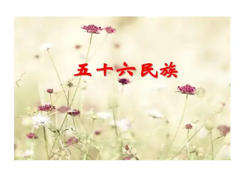 留学生中国文化 民族共47页文档