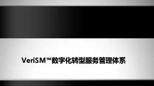 VeriSM资料-峰会专用