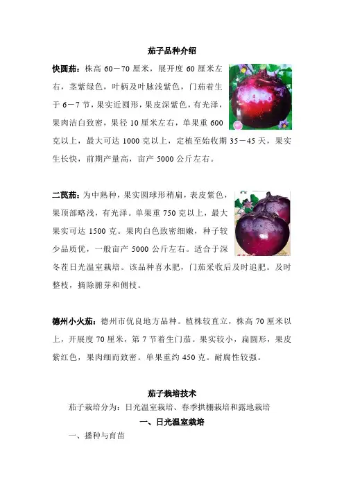 茄子品种介绍及茄子栽培技术