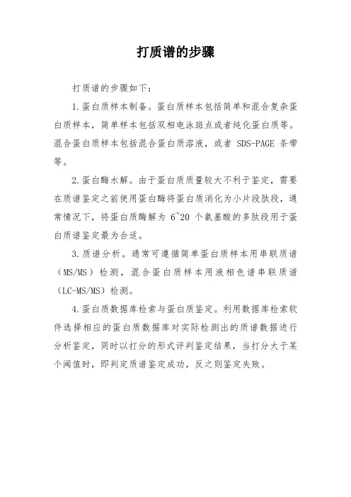 打质谱的步骤
