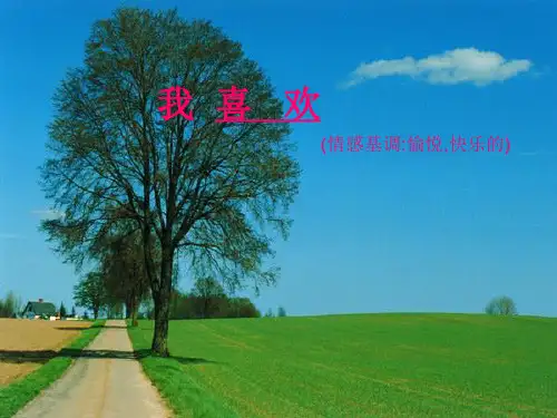 北师大版五年级上册《我喜欢》PPT课件