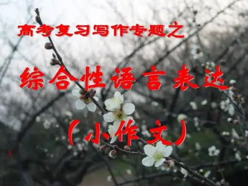 高考小作文：综合性语言表达