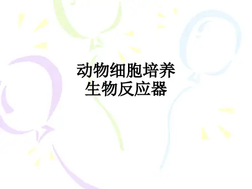 动物细胞培养生物反应器ppt课件