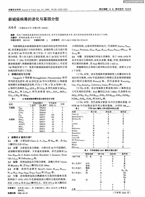 新城疫病毒的进化与基因分型