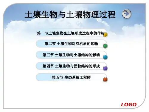 土壤生态学第五章-土壤生物与土壤物理过程