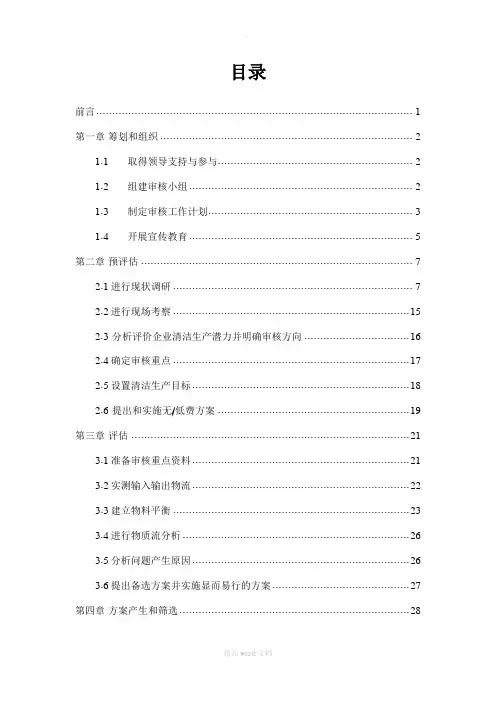 清洁生产审核报告