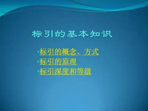第4章 标引基本知识1