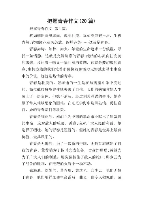 把握青春作文(20篇)
