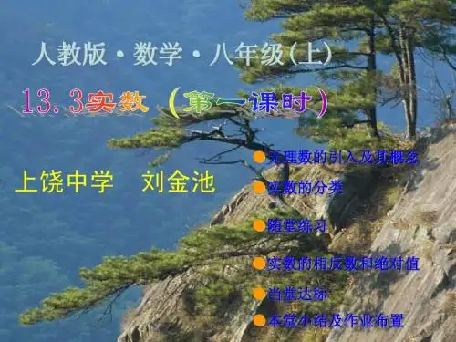 八年级数学上:13.3实数课件(人教新课标)