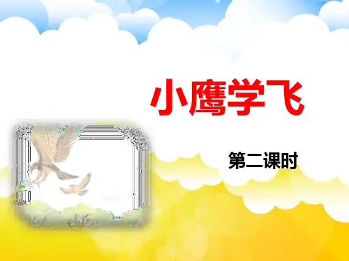 苏教版小学二年级语文上册《小鹰学飞》名师课件(第二课时)