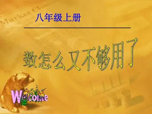 八年级数学上册 第二章第一节 数怎么又不够用了(二)课件 北师大版