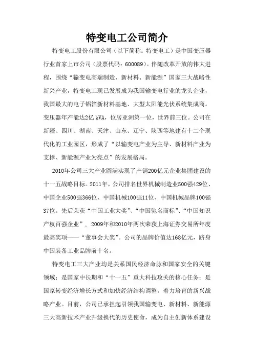 特变电工企业背景资料