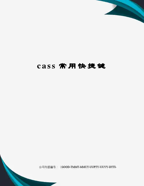 cass常用快捷键精编版
