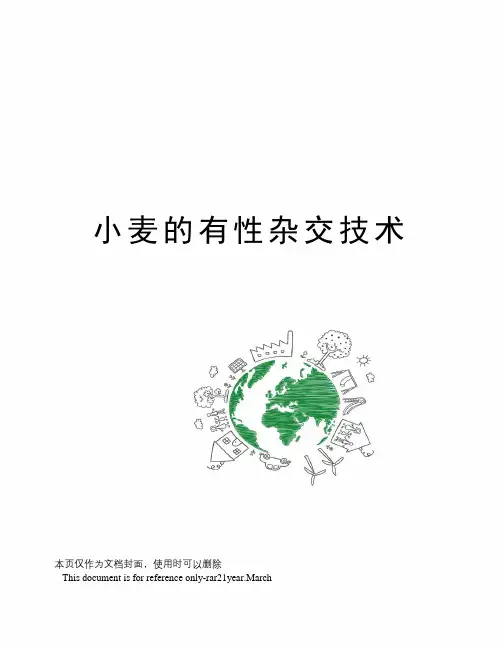 小麦的有性杂交技术