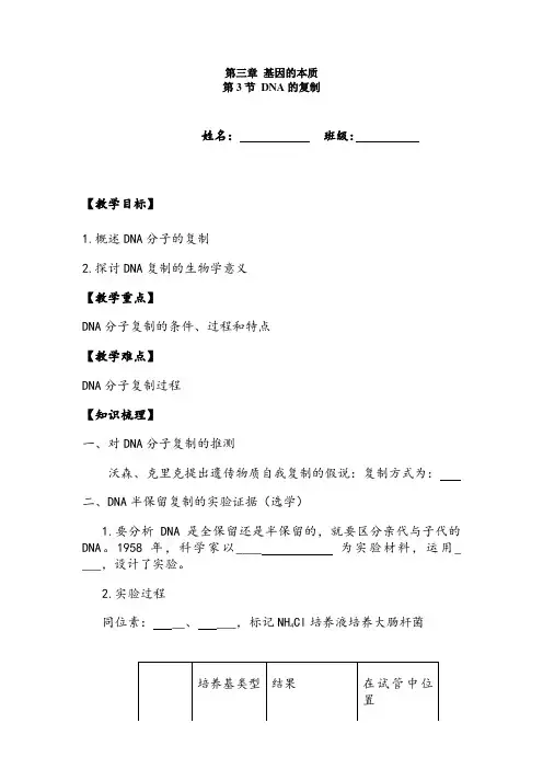 DNA复制学案
