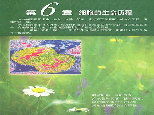 高中生物《第六章 第一节 细胞的增殖》课件4 新人教版必修1
