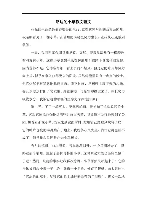 路边的小草作文范文