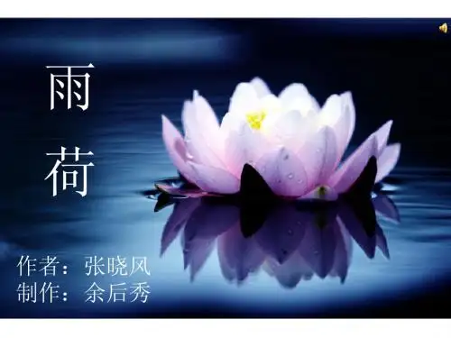 《雨荷-张晓风》