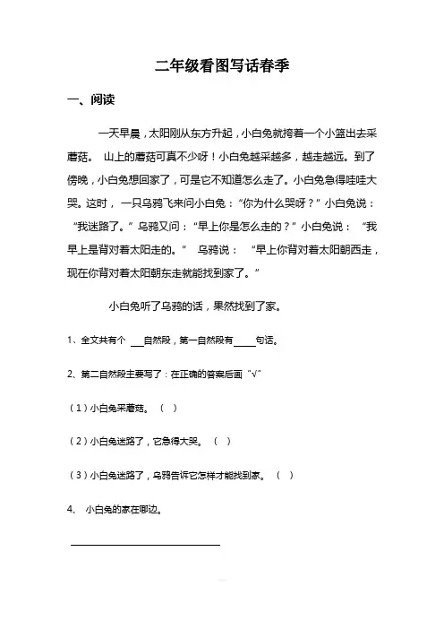 二年级看图写话《小兔过河》