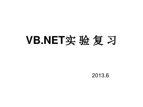 华中农业大学2013年vb实验复习