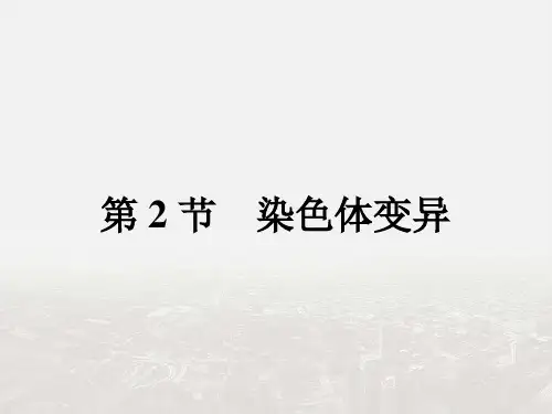 2017-2018学年高中生物人教版必修二课件：5.2染色体变异