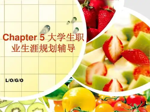 大学生职业生涯规划辅导