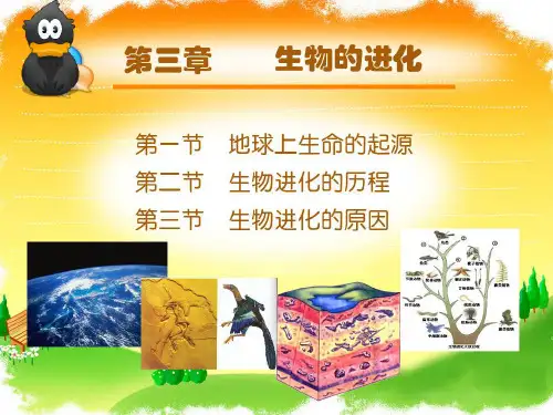 第三章 生物的进化 总复习
