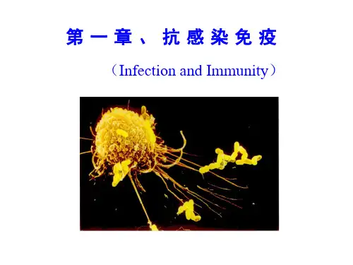 1-抗感染免疫.ppt