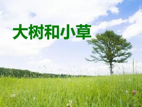 《大树和小草》植物PPT精选教学课件