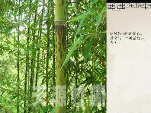 湘夫人(实用)我